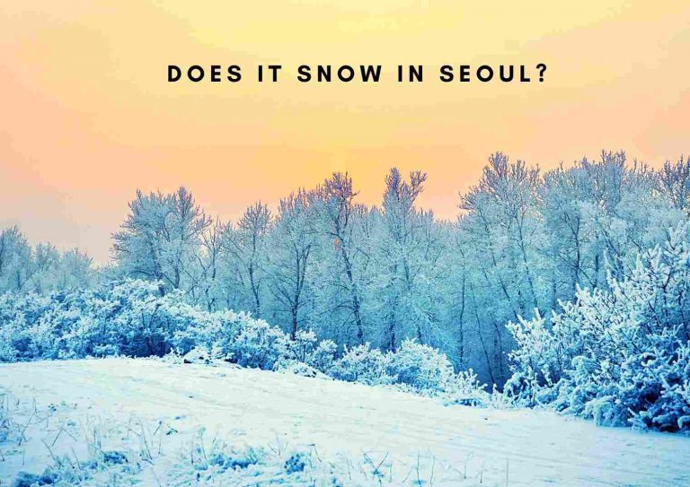 Does It Snow In Seoul? 5 Exciting Things To Do In Seoul During Winters
