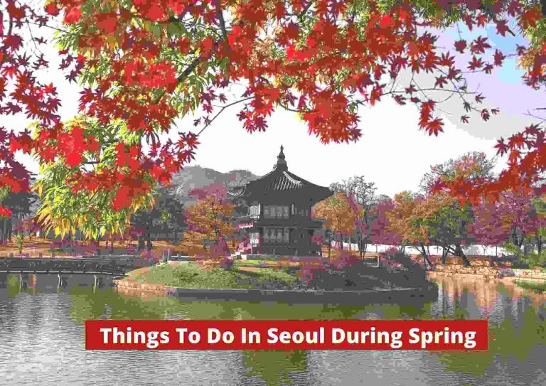 14 Fun Things To Do In Seoul During Spring 2023 | Awesome Spring Activities In Korea!
