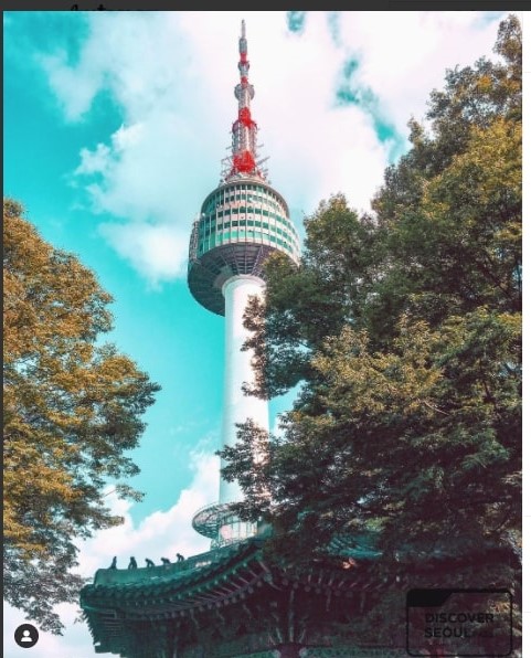 spring in korea 2021