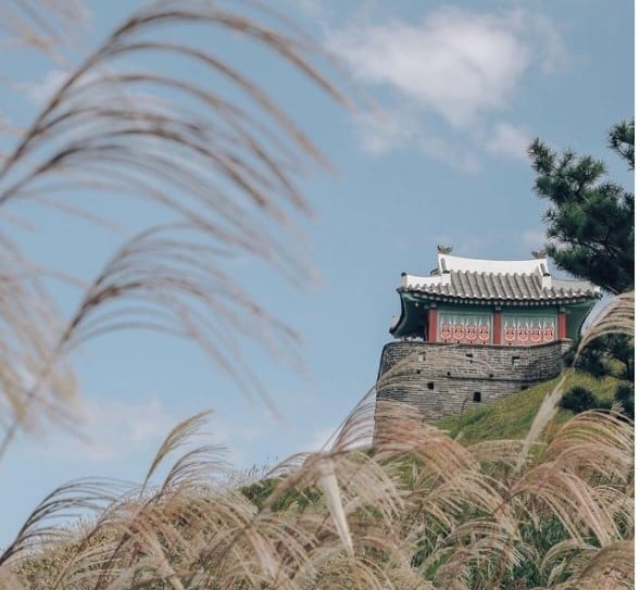 spring in korea 2021