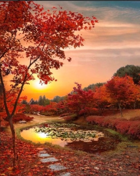 things to do in south korea