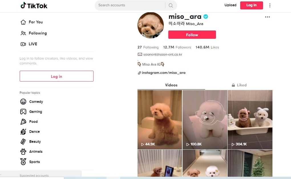 korean tiktok trends