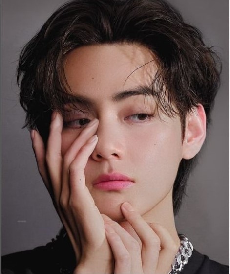 v bts net worth 2022