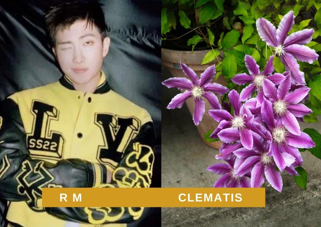 1 september birth flower
