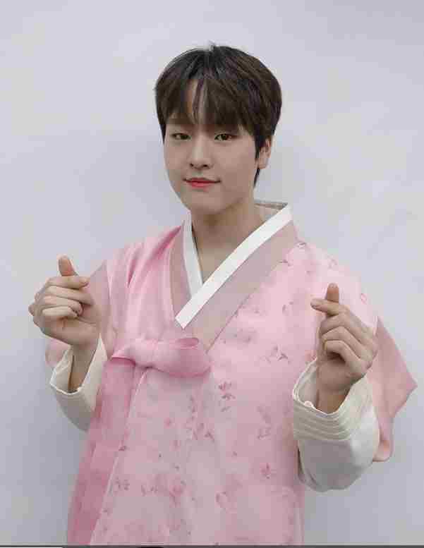 What is BAE173 fandom name?