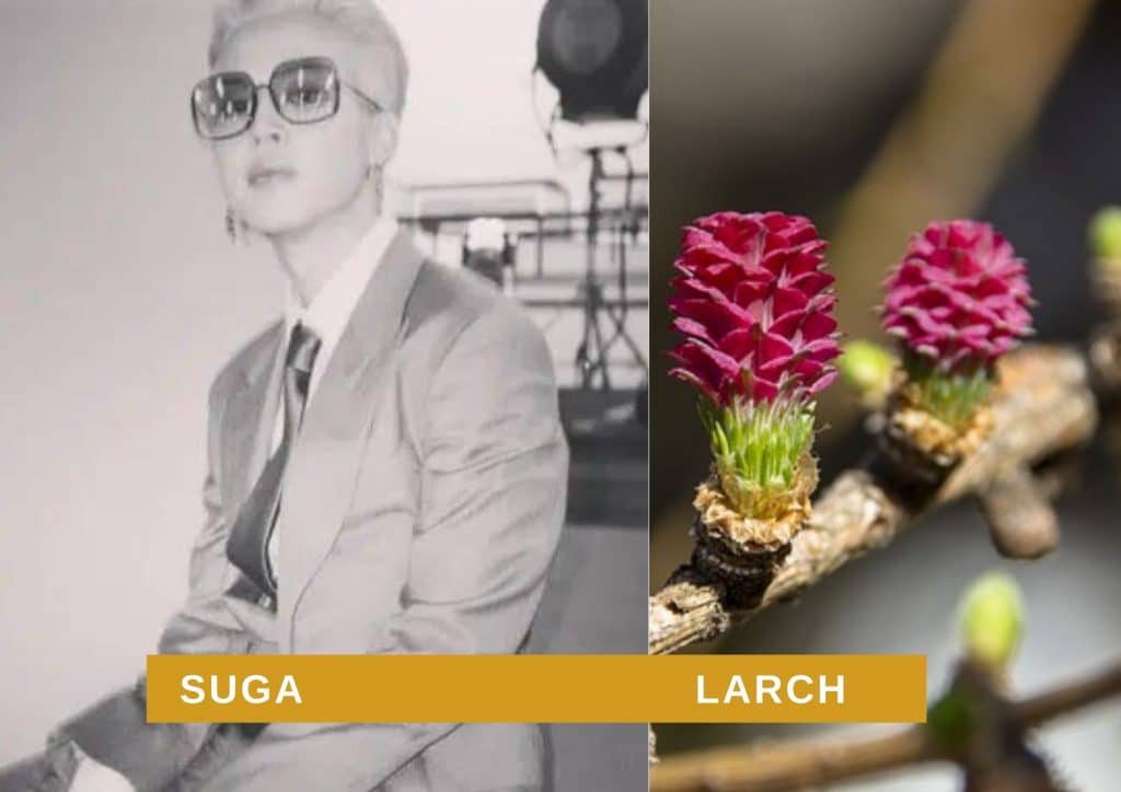 bts members birth flowers