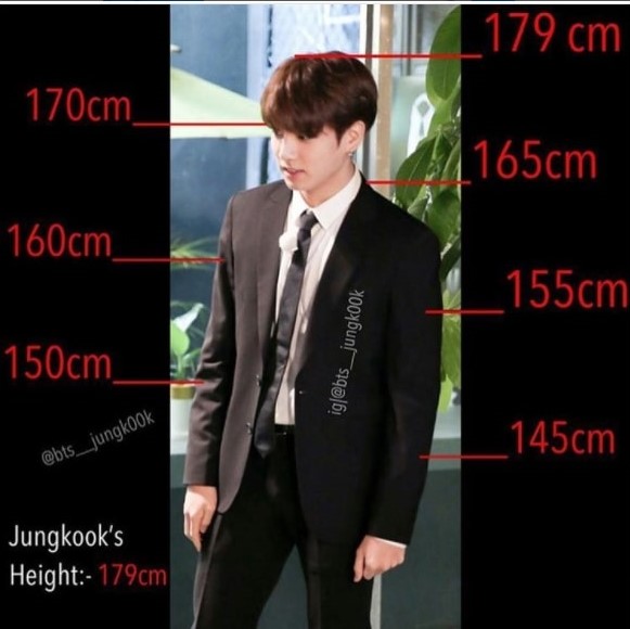 jungkook height comparison bts members