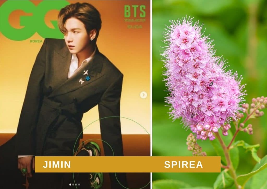 bts flower