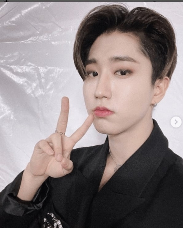 who is most popular in stray kids