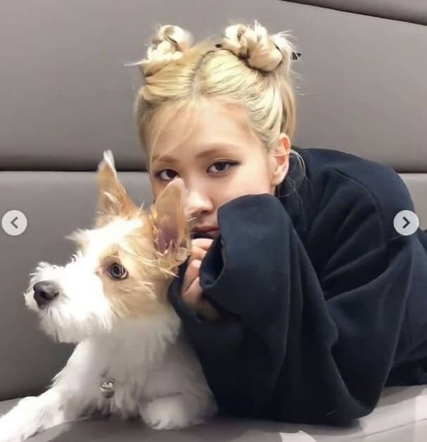 Who has the best hairstyles in Blackpink