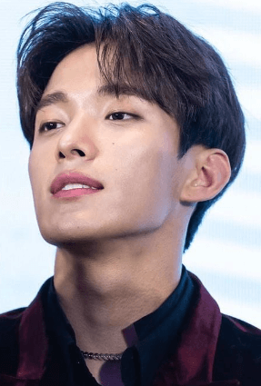 dk セブンティーンプロファイル