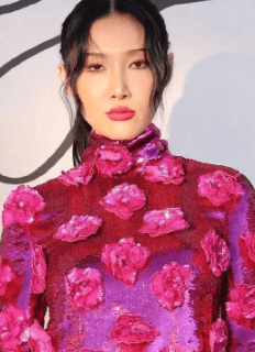 華彩は美の基準に適合しているか