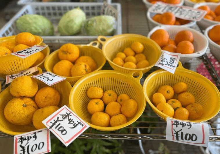 best korean fruits